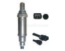 Oxygen sensor - 0258003119